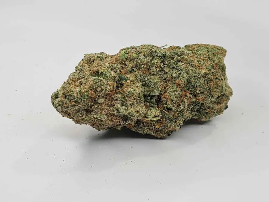 Bruce Banner